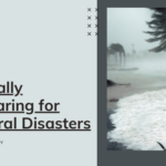 Digitally Preparing for Natural Disasters