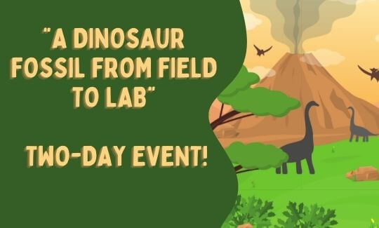 “A Dinosaur Fossil from Field to Lab” Two-Day Event!