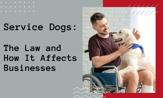 Service Dogs: The Law and How It Affects Businesses