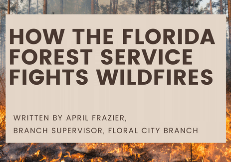 Learn How the Florida Forest Service Fights Fires. Written by April Frazier, Branch Supervisor, Floral City Branch