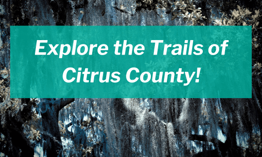 Explore the Trails of Citrus County!