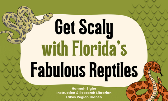 Get Scaly with Florida’s Fabulous Reptiles