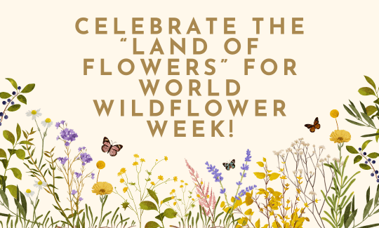 Celebrate the “Land of Flowers” for World Wildflower Week!