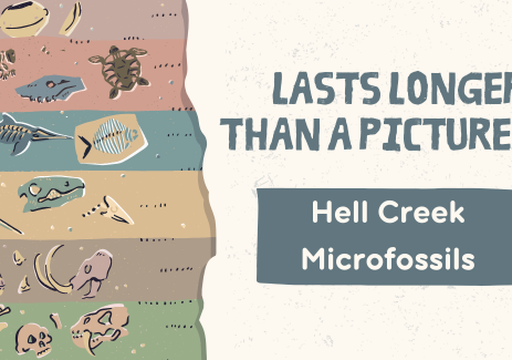 Lasts Longer Than a Picture Hell Creek Microfossils