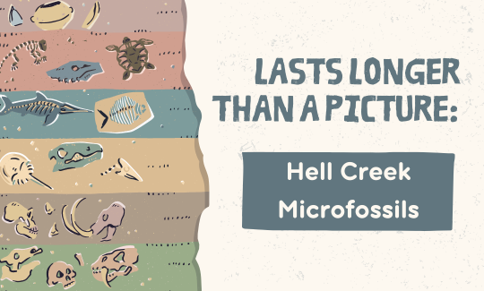 Lasts Longer Than a Picture Hell Creek Microfossils