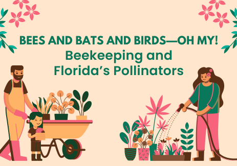 Bees and Bats and Birds—Oh My!: Beekeeping and Florida’s Pollinators