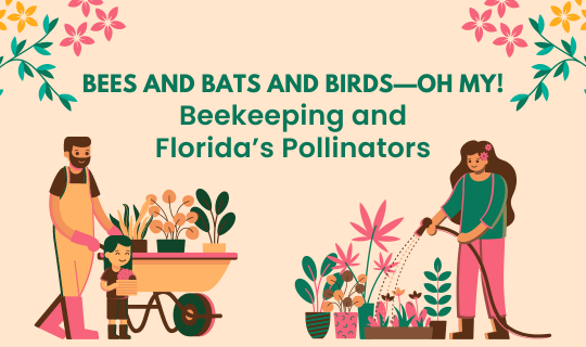 Bees and Bats and Birds—Oh My!: Beekeeping and Florida’s Pollinators