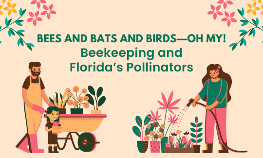 Bees and Bats and Birds—Oh My!: Beekeeping and Florida’s Pollinators