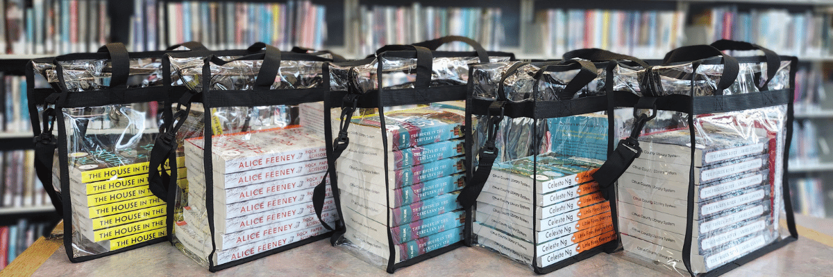 Row of 5 clear tote bags, each filled with a stack of 8 books on a table with blurred book shelves in the background.